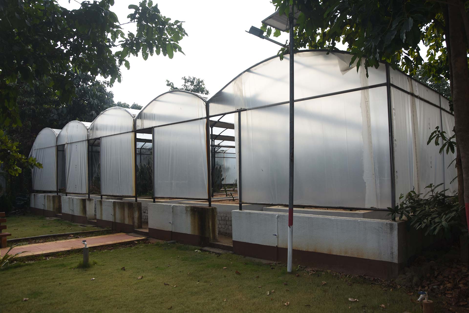 Gallery Img